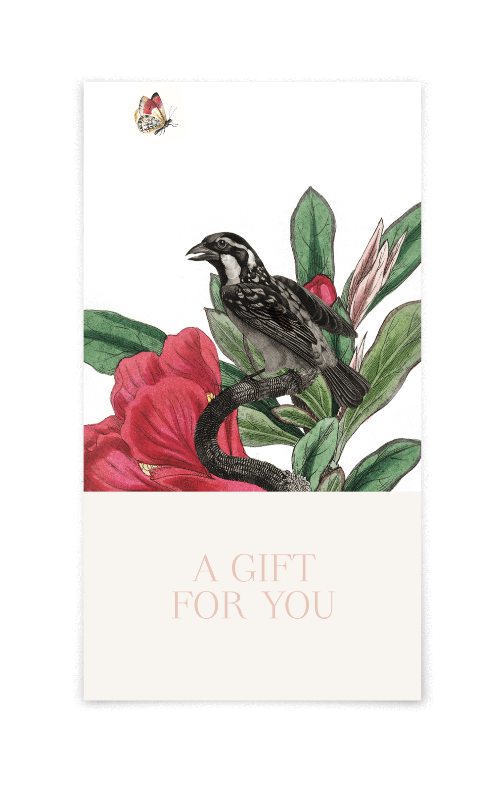 Gift Voucher