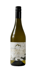 Pinot Grigio