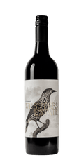 Shiraz 2019